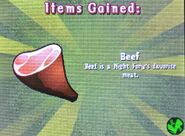 HTTYDgame-Beef