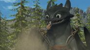 Toothless(115)