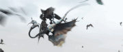 Valka helps one of the Windstrikers.gif