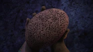 DC-100-Egg.png (1.45 MB) In Dr. Catastrophe