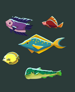 Dolphinfish from Dragon Training Legends (Bottom).