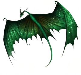 ROB-Salinger-Transparent