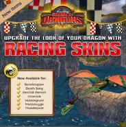 Racing Skin