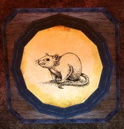 In School of Dragons