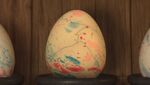 SP - The egg hatching.jpg