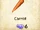 Carrot (Franchise)