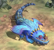 As a hatchling