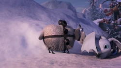 Click here to view more images from Pouncer during the shorts.