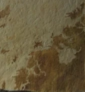 Continental landmass of Itchy Armpit on Grimmel's map