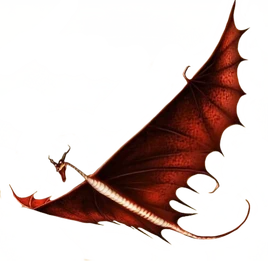 ROB-Stokehead-Transparent