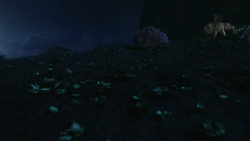 Click here to view more images from Cabbage (Franchise).