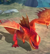 TU-Sturmundrang-Adult4.jpeg (232 KB)