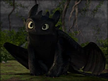 Toothless watching Hiccup