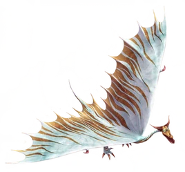 ROB-Broadguard-Transparent