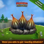 Soaring Sidekick's Eggs