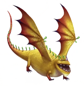 ROB-Seashine-Transparent