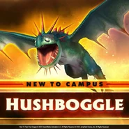 In School of Dragons