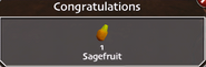 Sagefruit in SoD 4