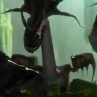 Dragon 9.1.png