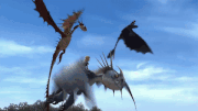 The Armorwing Stamina.gif