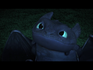Toothless(34)