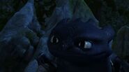 Toothless(132)