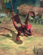 As a hatchling