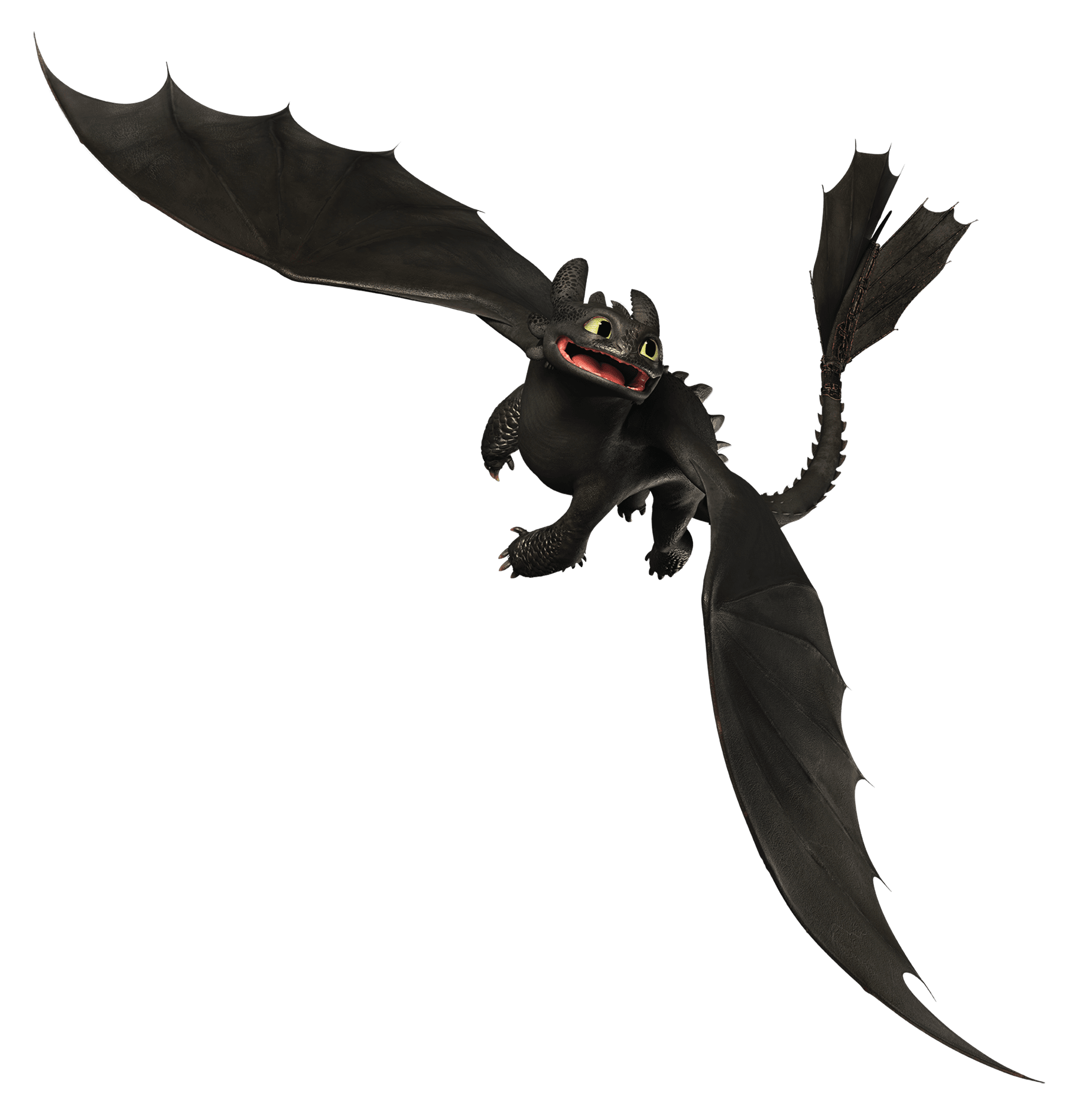 toothless trainer