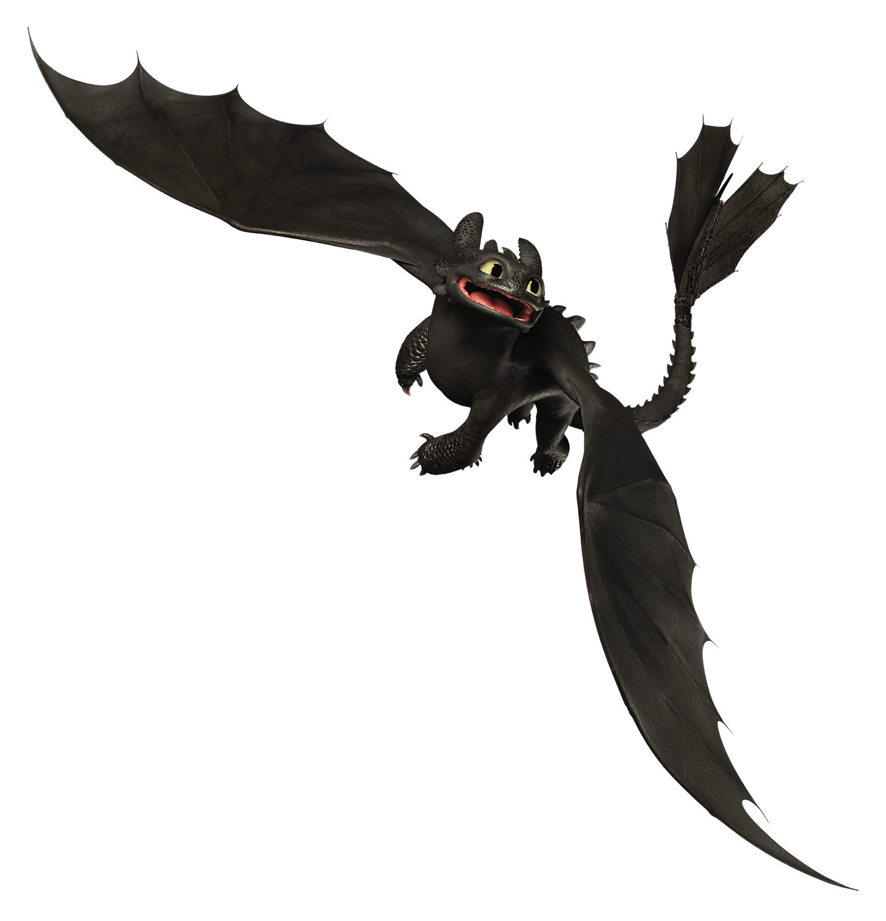 Toothless | How to Train Your Dragon Wiki | Fandom