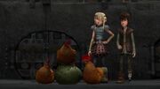 Hen sitting on the egg.jpg