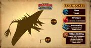 Seashocker Stats.jpg