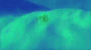 Thermalvision.png