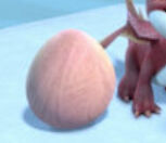 H-HeatwingEgg.jpg