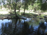 Vista de las barreras arrancadas del muro de El Pardo por la crecida del Trofa en abril de 2018