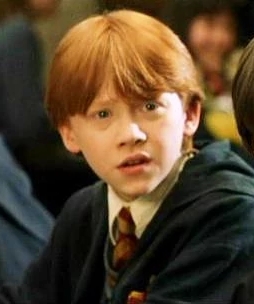 Ron Weasley Digits Hpmor Wiki Fandom