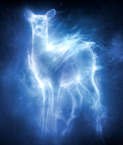 Patronus