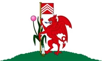 Cardiff Flag