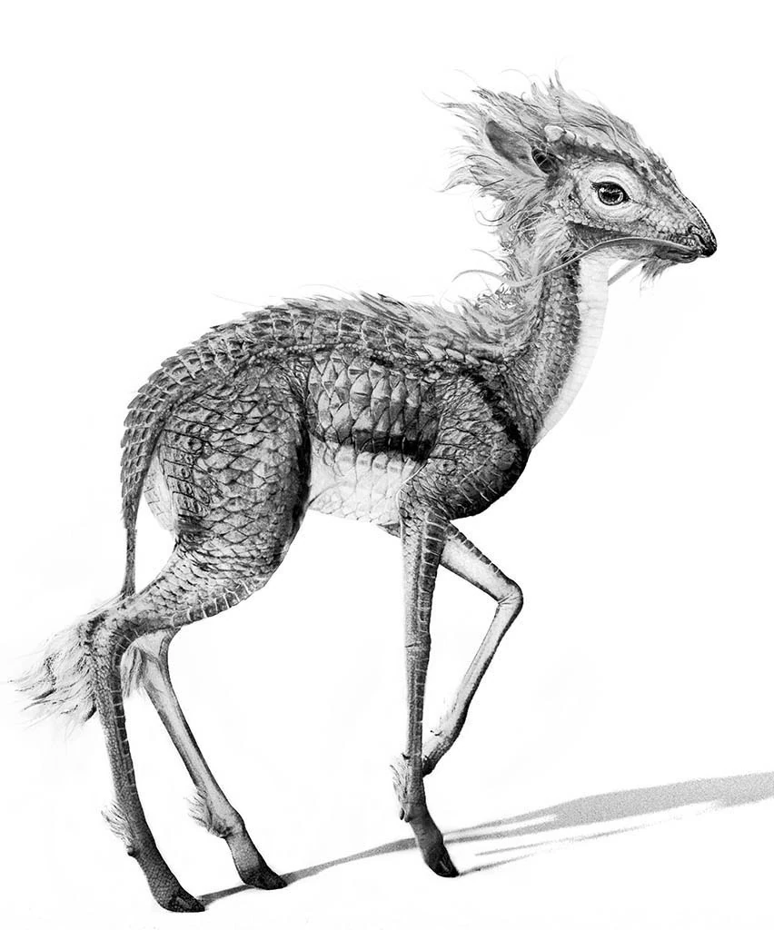 Qilin Harry Potter Wiki Fandom