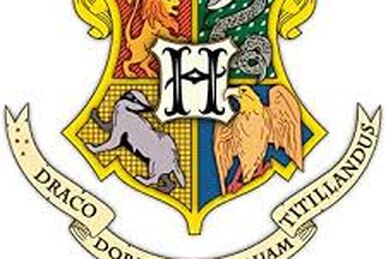 Hogwarts Abzeichen, Harry Potter Wiki