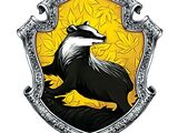 Haus Hufflepuff