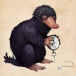 Niffler.jpg.jpg