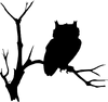 Eule schwarz.png