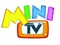 Mini TV