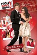 Lgpp31510+troy-gabriella-high-school-musical-3-poster