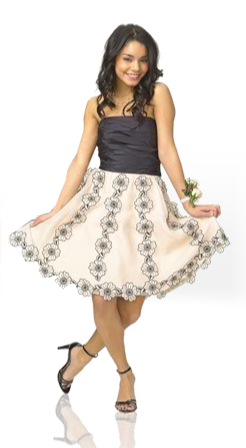 Gabriella Montez High School Musical Wiki Fandom