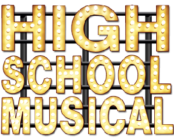 2008) Disney Store High School Musical 3 Senior Year Gabr…