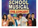 High School Musical: The Concert