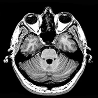 Medical imaging (19 KB) Medical imaging