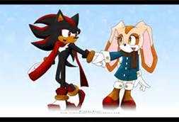 cream the rabbit and shadow the hedgehog