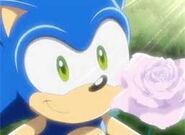 Sonic smiled with a pink rose